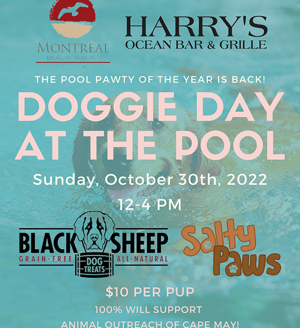 Doggie Pool Day October 30, 2022. 12-4