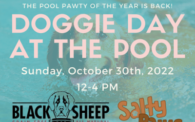 Doggie Pool Day!