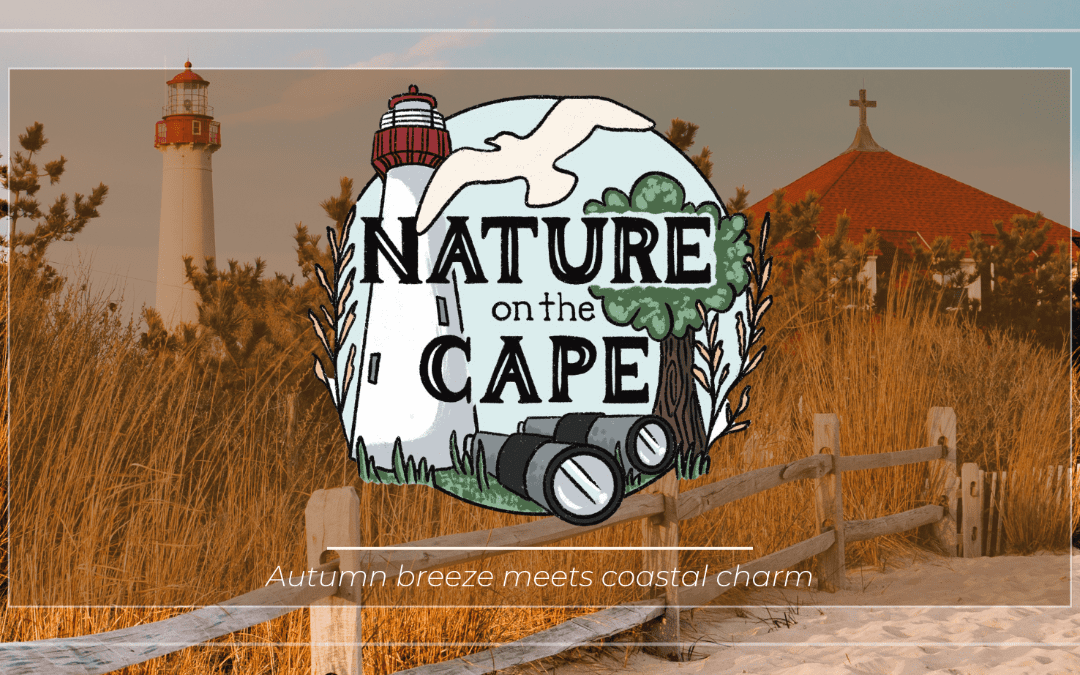 Exploring Cape May in Fall: A Nature Lover’s Paradise