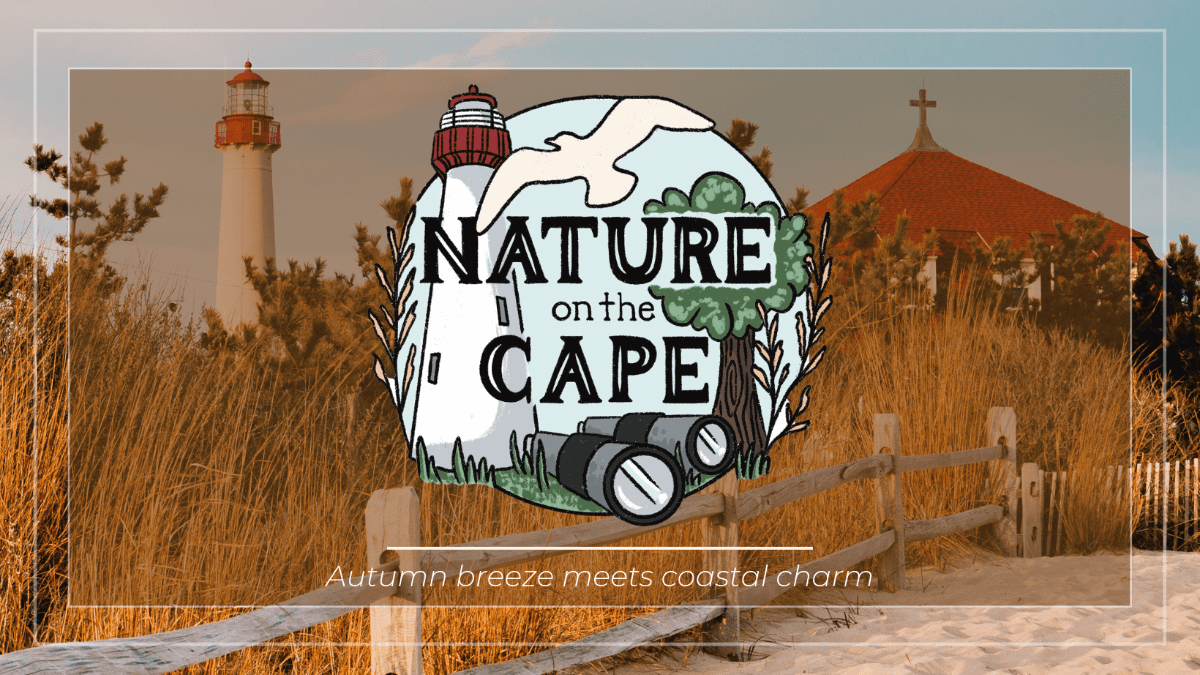Exploring Cape May in Fall: A Nature Lover’s Paradise